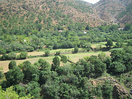 Uncoltivated fields in a valley separated by rock walls. 