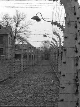 Auschwitz barbed wire 1