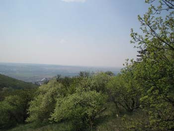 A view fro the Zobor Hill