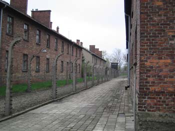Auschwitz: some buildings